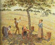 Camille Pissarro Pick  Apples china oil painting artist